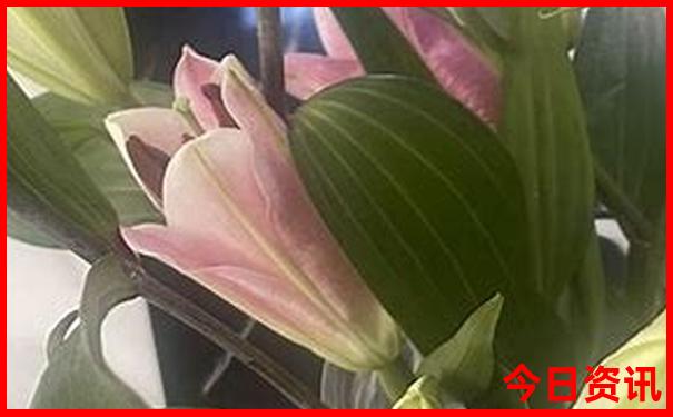 暑假带孩子去草原哪里好玩